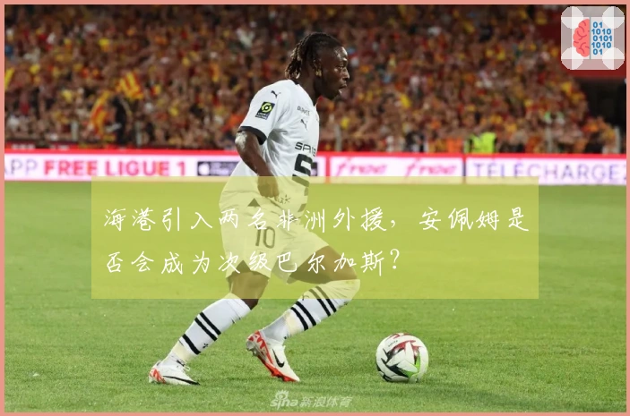 海港引入两名非洲外援，安佩姆是否会成为次级巴尔加斯？